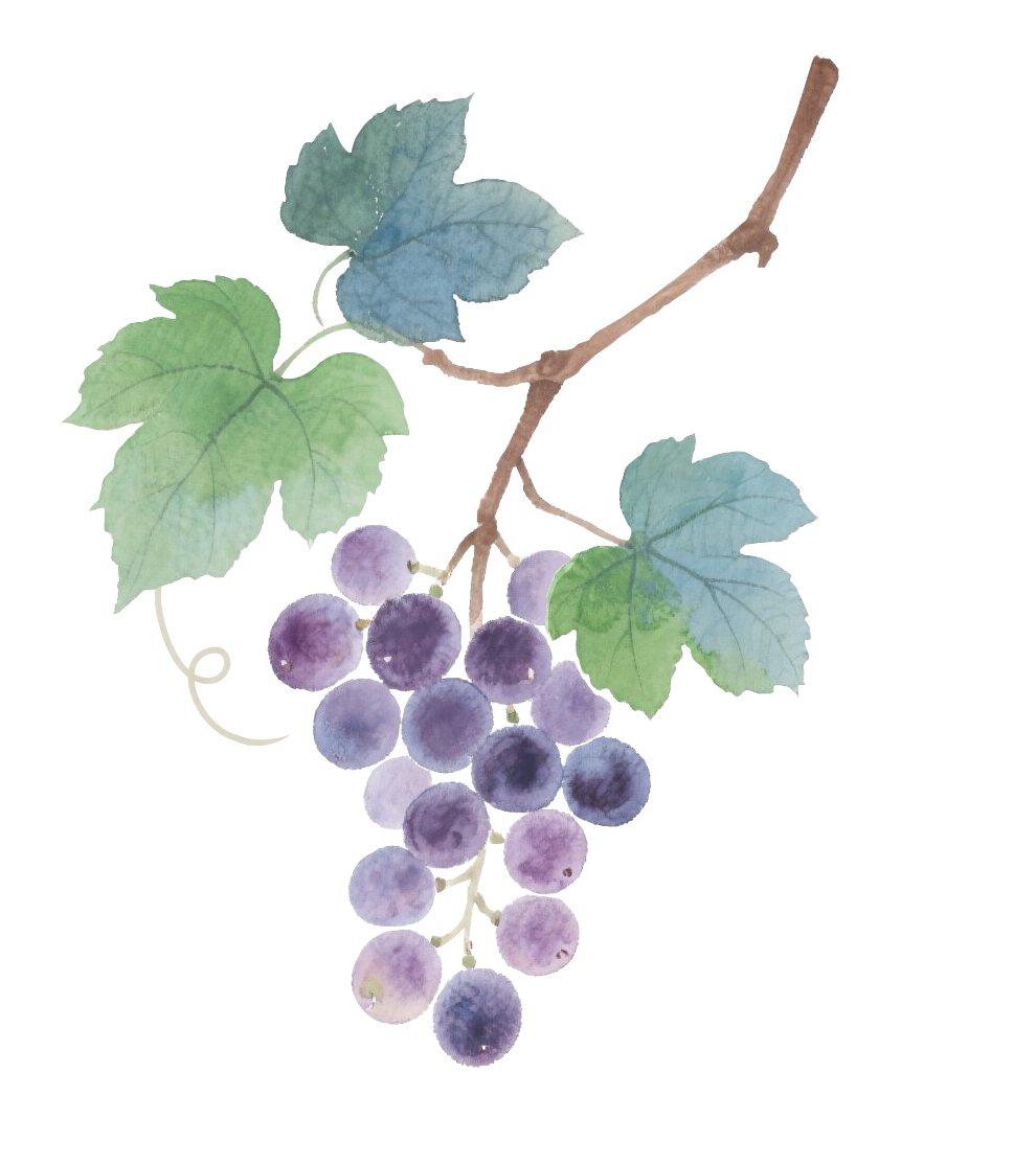 图片[14]-你的AI到底靠不靠谱？港大最新测评：GPT-5拔得头筹，国产模型中豆包意外领跑