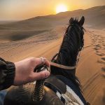 Qhc.的头像-冠昇产业