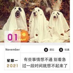 Vue3 的 ref 和 reactive 到底用哪个？90% 的开发者都选错了-冠昇产业